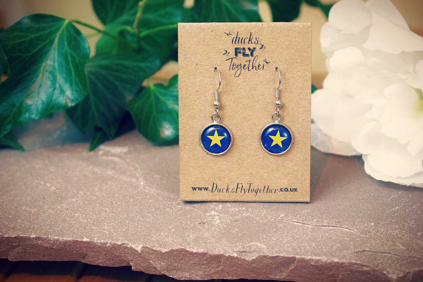 EU Flag Earrings. Single Star Remain. Anti Brexit jewellery. Pro European. Europe gift. Personalised Gift for wife, girlfriend, mum. Liberal